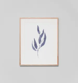 EUCALYPTUS LEAVES 1 · FRAMED PRINT