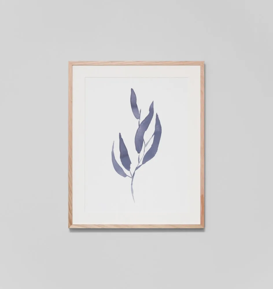 EUCALYPTUS LEAVES 1 · FRAMED PRINT