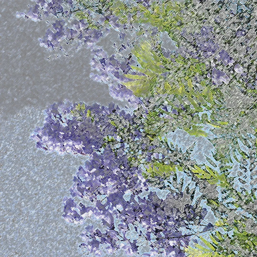 Jacaranda - Long Silk Scarf