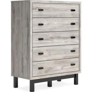 Vessalli Chest